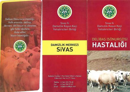 DELİBAŞ HASTALIĞI